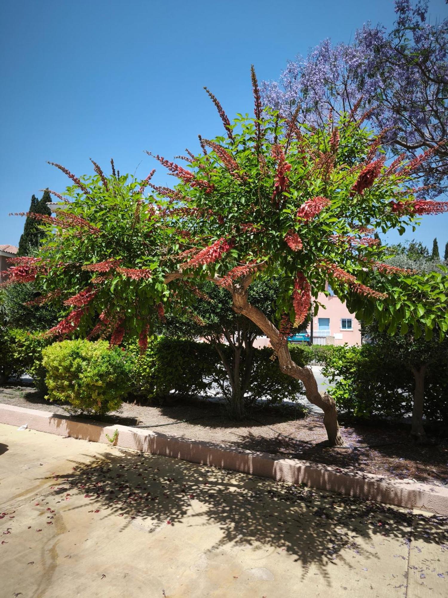 Villa Eden Gardens Paphos Exterior foto